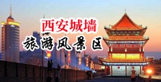 骚妇www中国陕西-西安城墙旅游风景区
