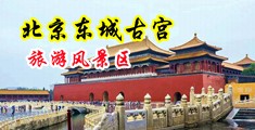 日逼小美女人f中国北京-东城古宫旅游风景区